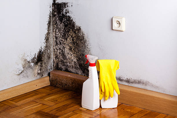 Water Damage Restoration in Ada, OK